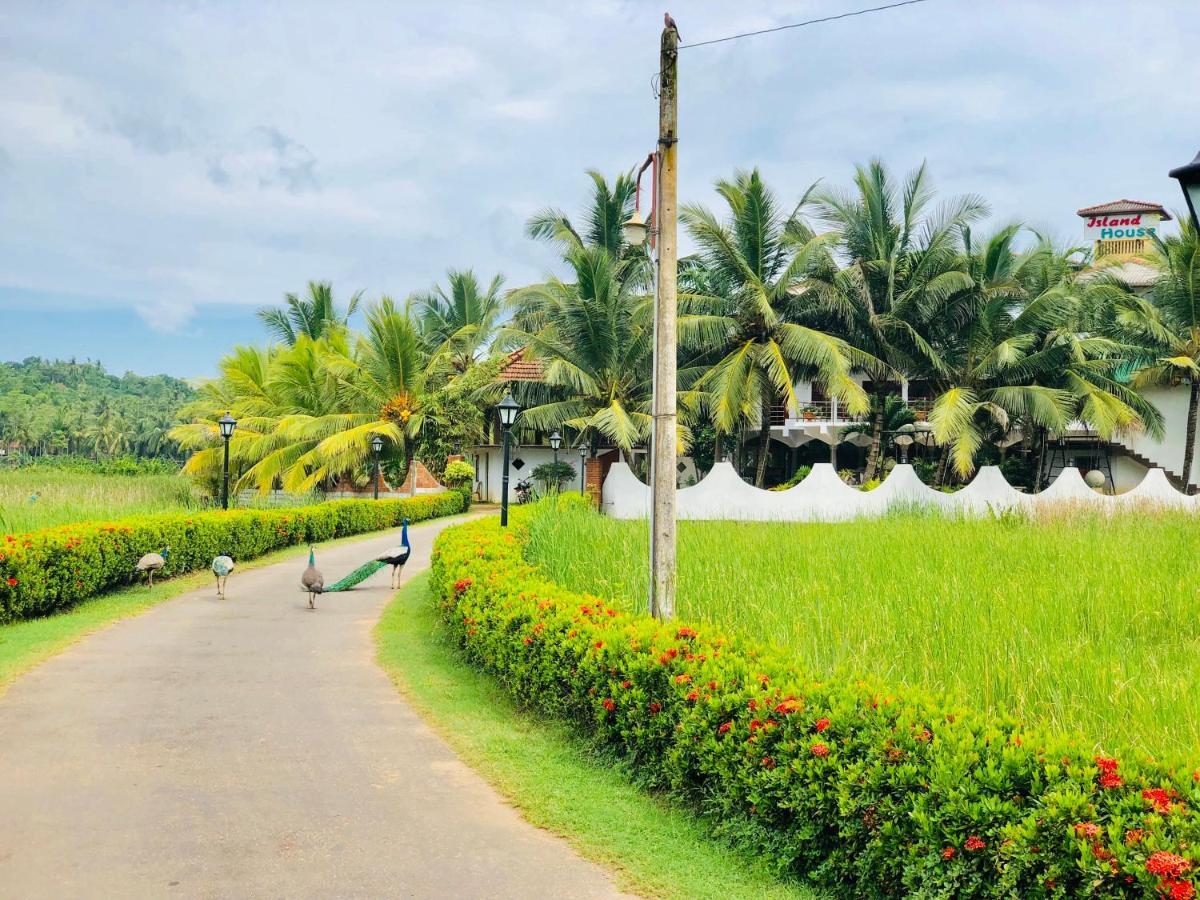 ホテル Island House ディックウェラ エクステリア 写真