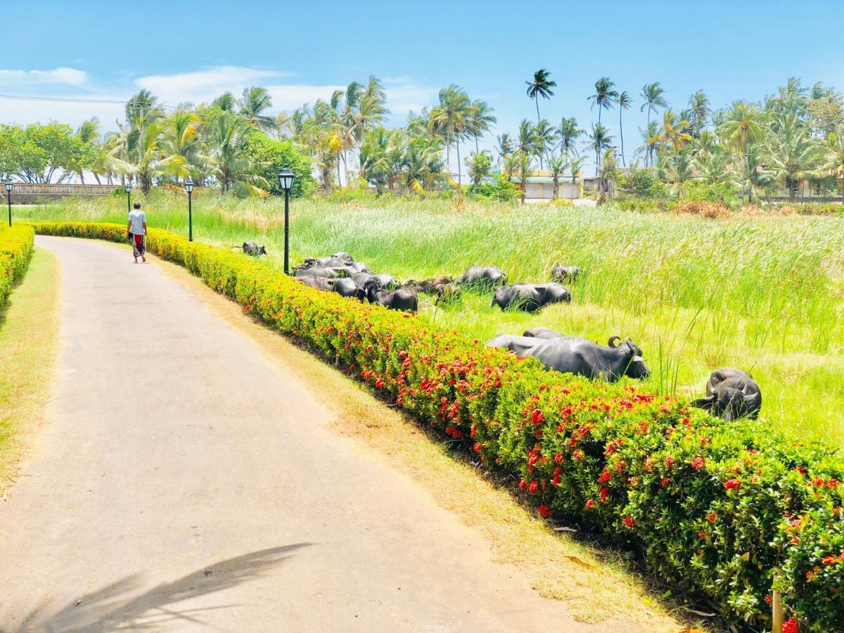 ホテル Island House ディックウェラ エクステリア 写真
